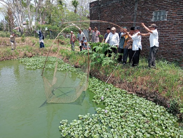 Gampong Garot Kecamatan Darul Imarah melakukan panen ikan Lele perdana,Budidaya ikan lele 
